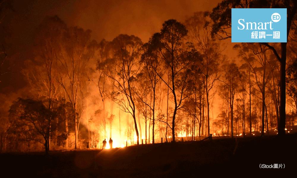 澳洲山火 新南威爾士省 生態災難 坎培拉 空氣質素 樹熊