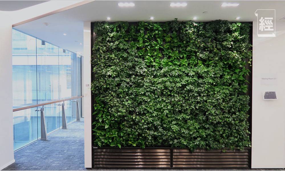  Bravolinear 植物牆淨化空氣