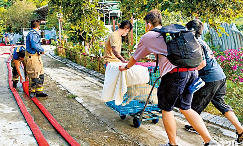 感激200市民通宵救援 狗場義工：港人好有愛