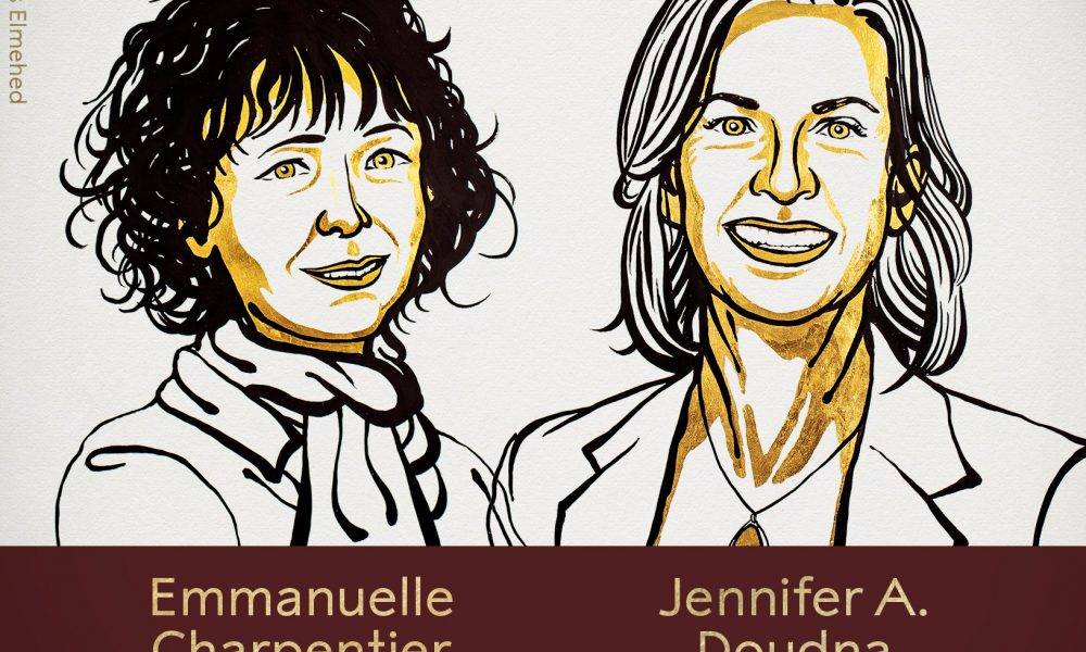 【諾貝爾獎】兩女性爭光！研基因編輯技術法美學者獲化學獎