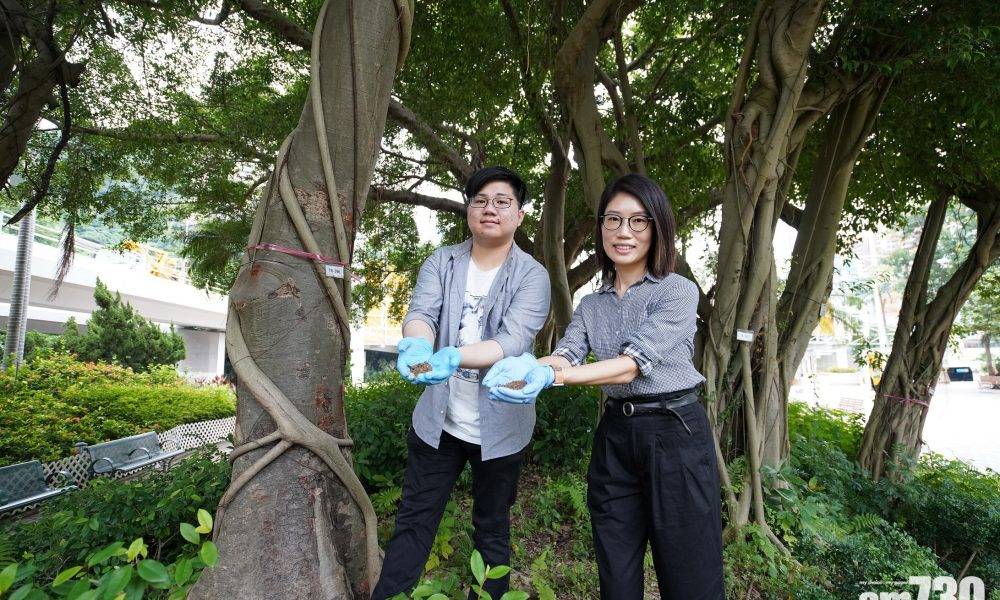 【科研】抽泥土測真菌DNA　IVE生助預防治療有病樹木