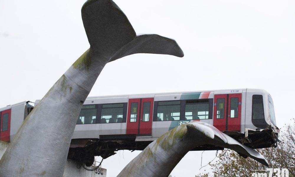  鯨魚尾救列車 鹿特丹列車出軌險墮10米高橋