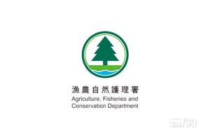 【新冠肺炎】荃灣貴婦狗檢測呈陽性   主人為確診患者密切接觸者