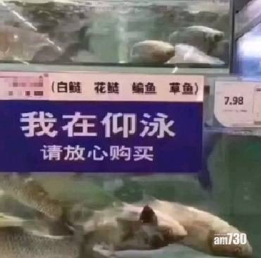 【網上熱話】市場賣反肚魚叫「仰泳」魚    網民︰感覺智商受到侮辱