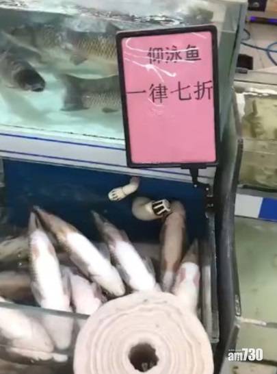  【網上熱話】市場賣反肚魚叫「仰泳」魚    網民︰感覺智商受到侮辱