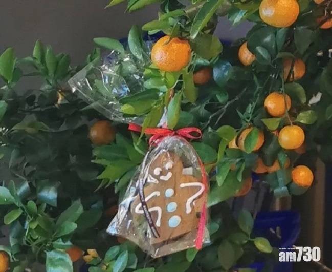  【網上熱話】桔樹綁利是封薑餅人布置聖誕    網民︰可放到過年 經濟實惠