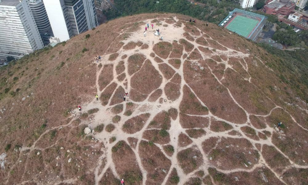 【網上熱話】玉桂山頂路徑如蜘蛛網　網民促政府種植起路