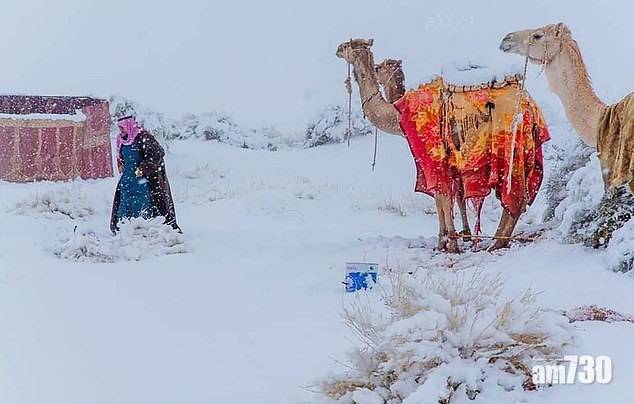  【極端天氣】沙特西南部零下2度罕見落雪 非洲撒哈拉沙漠被白雪覆蓋