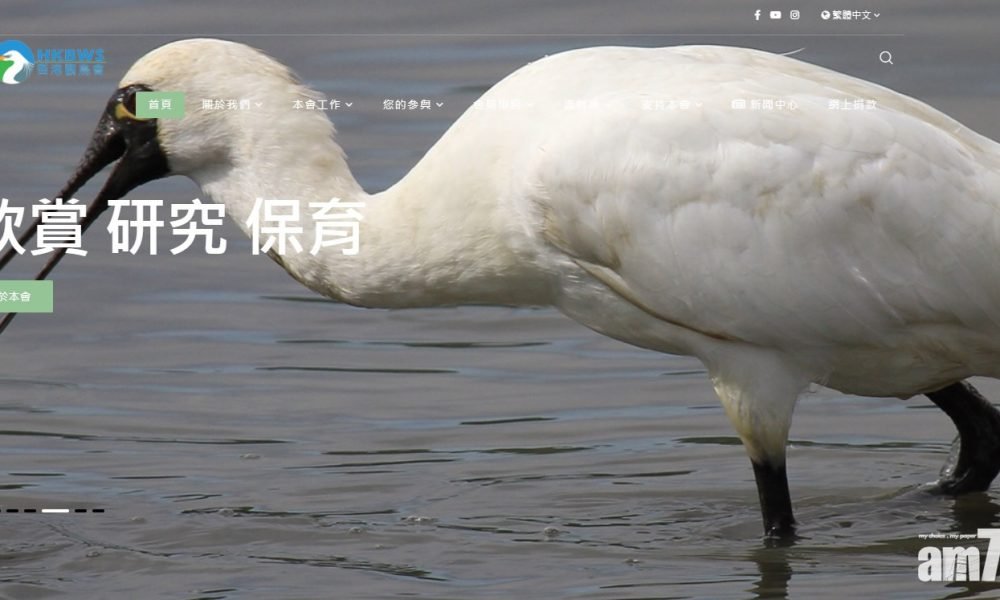 觀鳥會邀提供2020年雀鳥觀察紀錄 助彙編年度報告