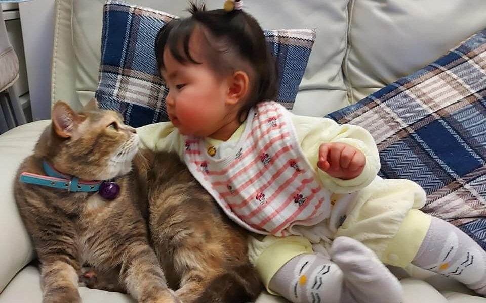 【毛孩天地】醫暗指養貓致幼女患濕疹　大量網民貼溫馨照辯可共存