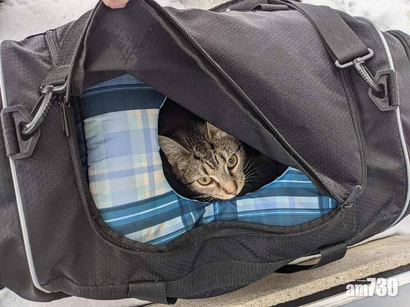  虛驚一場｜拆彈專家緊張處理可疑行李 打開竟是可愛貓咪