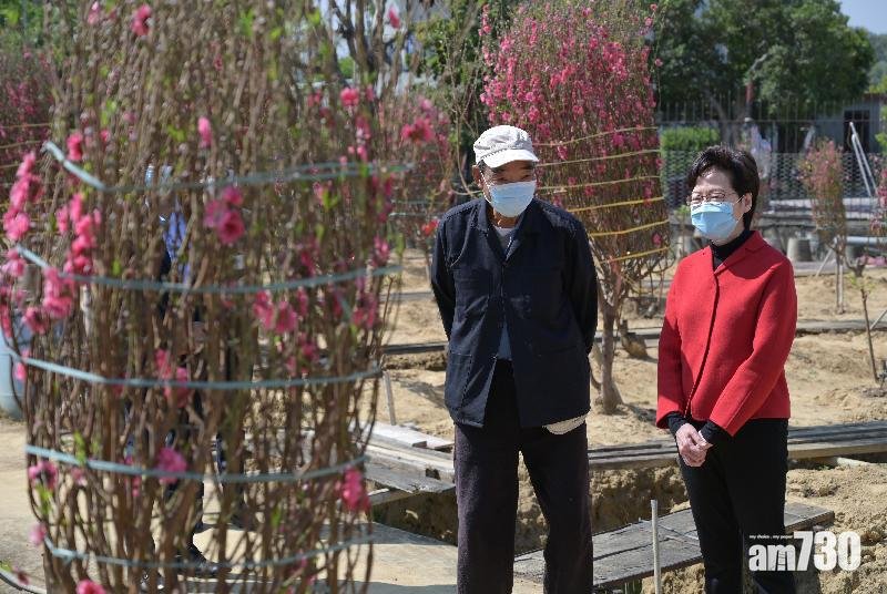 年宵市場取消又重辦  林鄭︰希望花農諒解