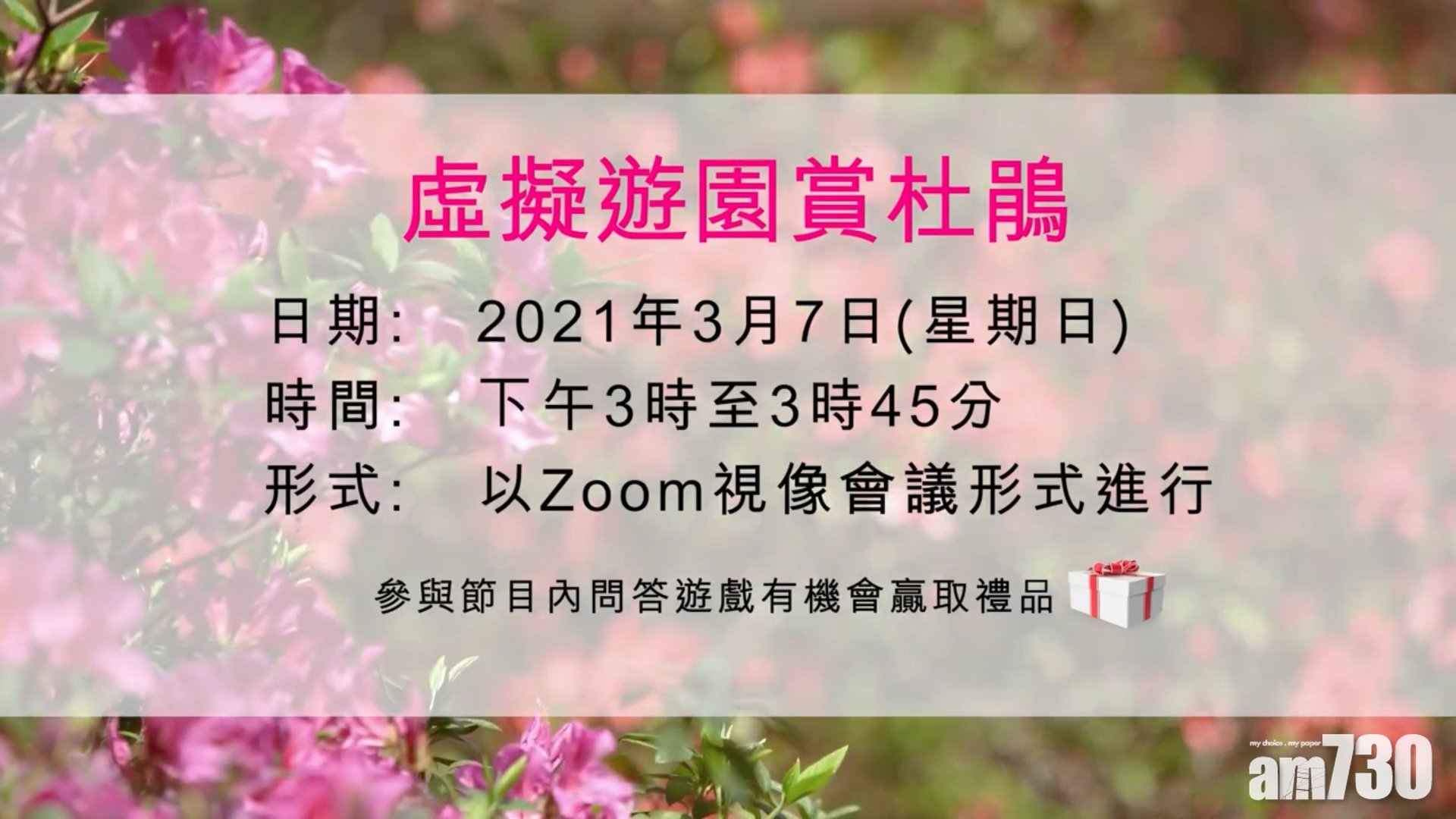 康文署3月首周日zoom虛擬賞杜鵑團名額500個 熱話 經濟一週