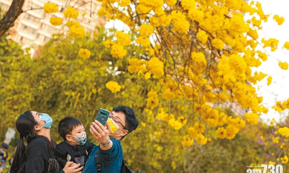 【圖遊】公園賞花