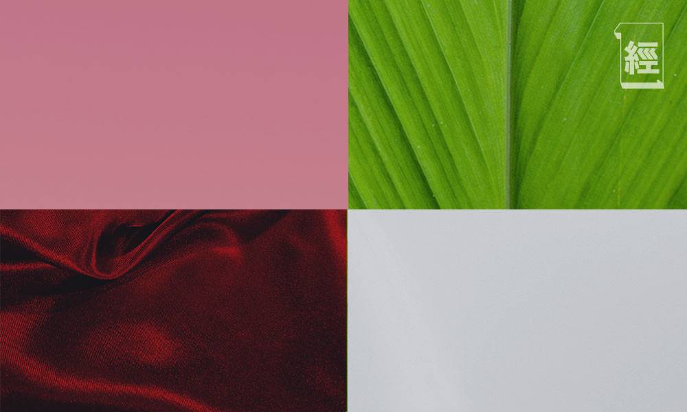 【職場英語】18個常用色彩詞語 拆解Red、Green、White、Pink等用法｜Ken Ng