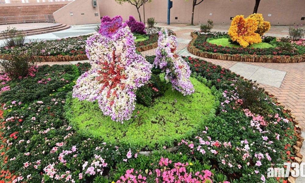  網上花展｜九龍公園賞主題花杜鵑 明起可3D虛擬導覽賞18區花圃