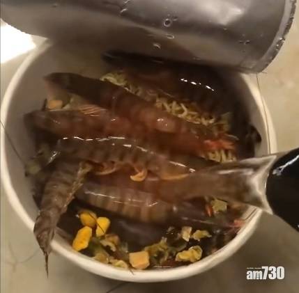  網上熱話｜淥杯麵加生蝦  網民︰蝦會熟嗎？