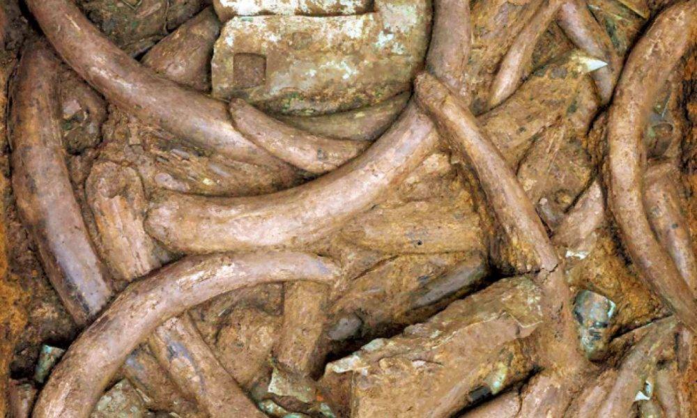  古蜀文化 為祭祀埋藏三千多年 三星堆再發現過百條象牙