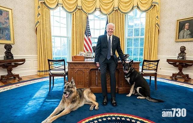 無得做第一狗｜咬白宮安全人員  拜登兩愛犬狼狗被送回老家