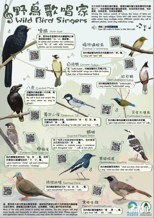  增進知識｜觀鳥會漁護署合作設計野鳥歌唱家海報  掃QR CODE聽雀鳥聲