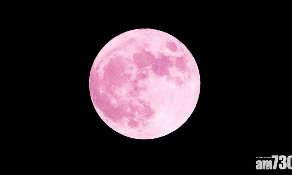  「超級粉紅月亮」今日出現！ 午夜11時半最亮