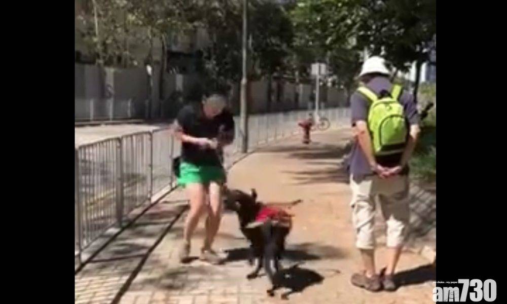  網傳兩年前導盲犬受訓被猛扯影片 香港導盲犬服務中心：已檢討及改善