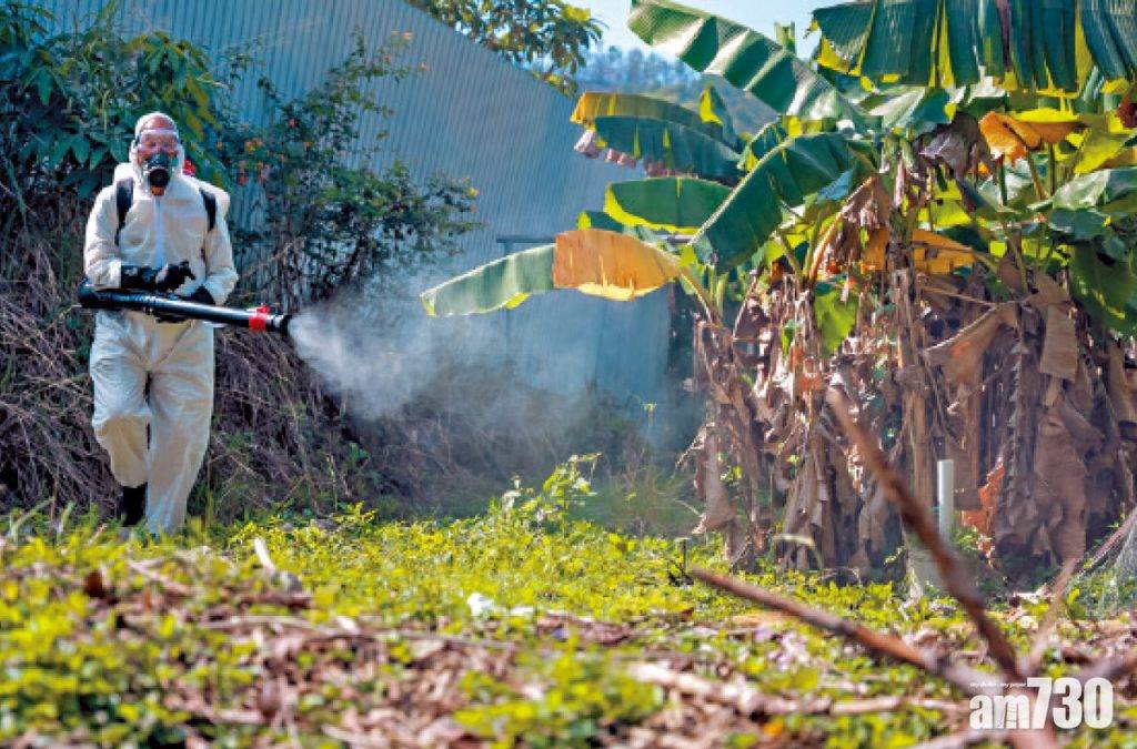 白紋伊蚊誘蚊器指數仍低 西貢牛寮及木棉山逼近警戒