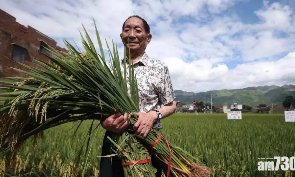  中國「雜交水稻之父」袁隆平病逝 享年91歲