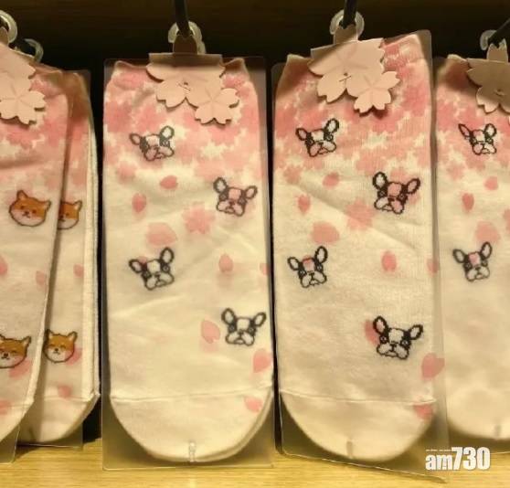  網上熱話｜買印花襪子櫻花只在包裝紙    網民︰沒有被騙只是包裝太美