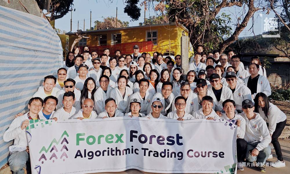  Forex Forest演算法交易 輕鬆賺取被動收入