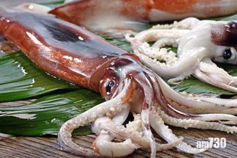  公海魷魚產量現危機 中國主動每年休漁3個月