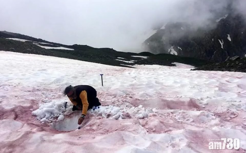 救救地球｜阿爾卑斯山「血冰川」大增  科學家：反映全球暖化加劇