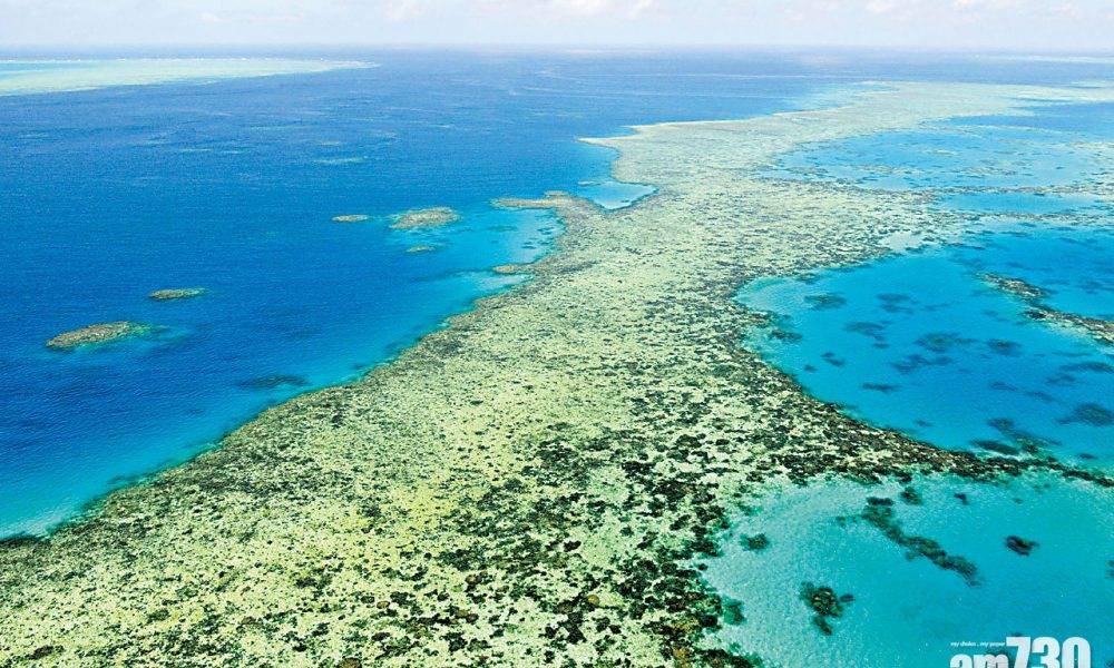  世界遺產 聯合國擬列大堡礁「瀕危」 澳洲不滿稱涉政治
