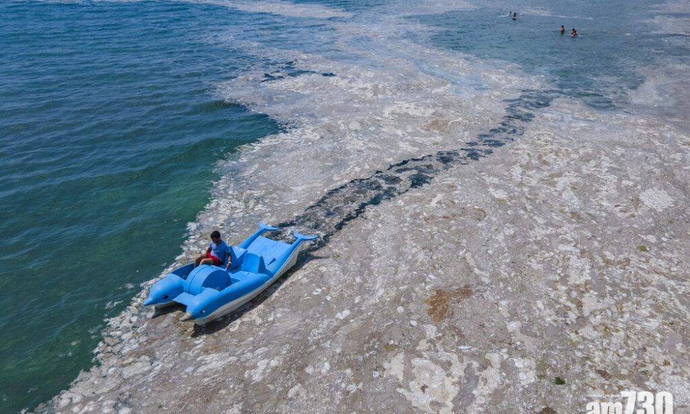  救救地球｜海水升溫致土耳其受「海鼻涕」侵襲 科學家以益菌清除