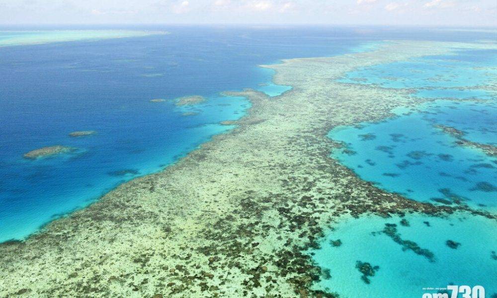  世界遺產｜聯合國擬列大堡礁入「瀕危」名冊 澳洲點解極度不滿？