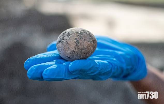  被屎醃住｜以色列古代糞池發現1000年雞蛋 完好無缺