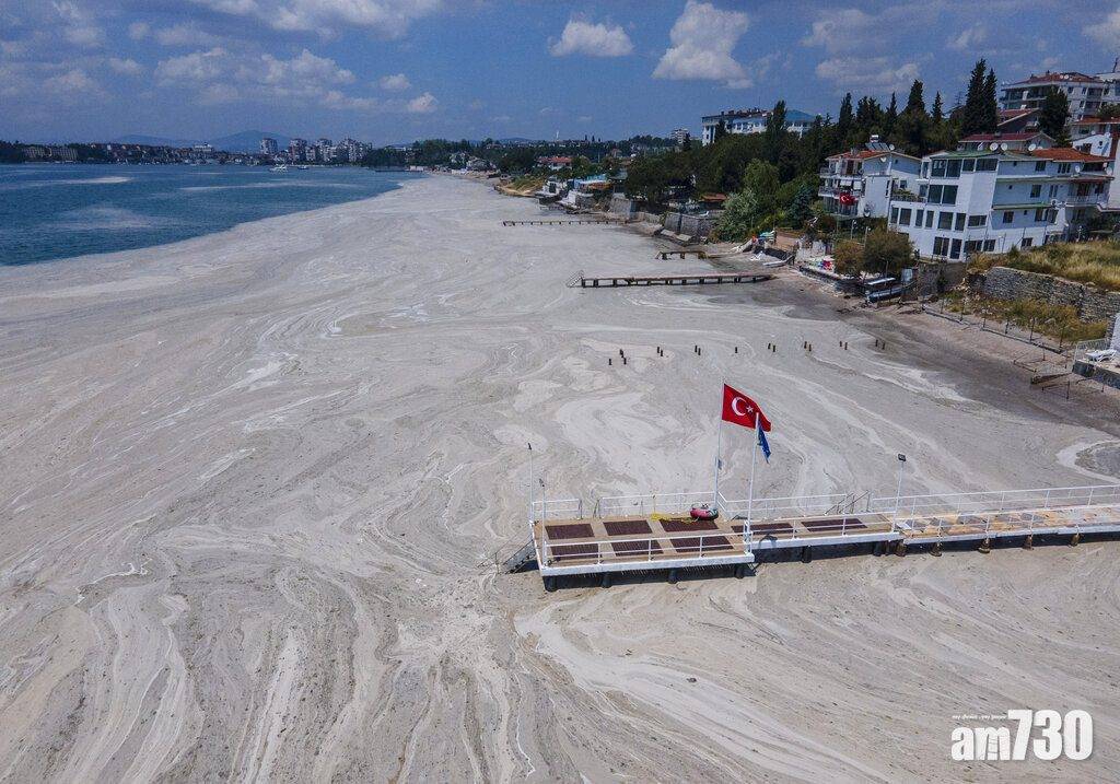救救地球｜海水升溫致土耳其受「海鼻涕」侵襲  科學家以益菌清除 