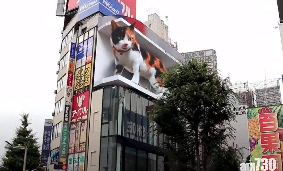  全靠3D技術｜巨型三色貓「突襲」新宿 民眾爭相打卡：像要跑出來一樣(有片)