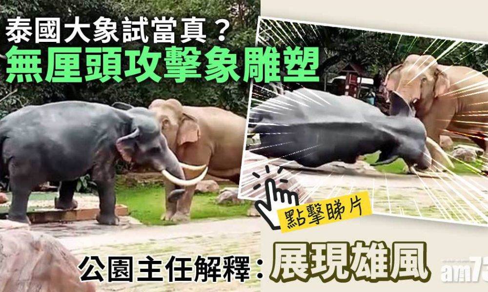  有片｜泰國大象「呷醋」 竟然咁對一座死氣沉沉的象雕塑？