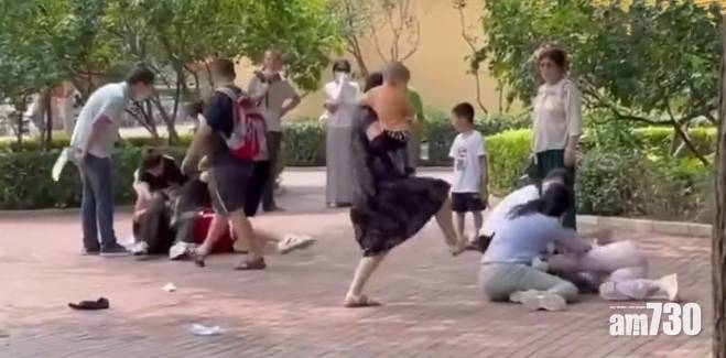  網上熱話｜遊客打架引動物模仿 動物園：場面一度失控