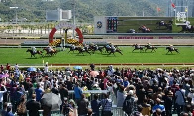 提早商討跑馬地馬場租契　建立官商續批雙贏示範