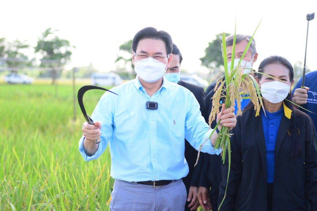 泰國 大米 泰國副總理兼商務部長Mr. Jurin Laksanawisit, 對推廣泰國茉莉香米不遺餘力。