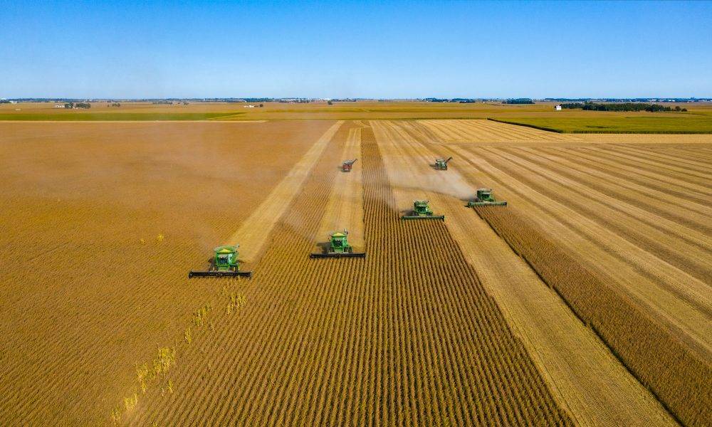 擔憂穀物供應 大豆期貨全面上漲