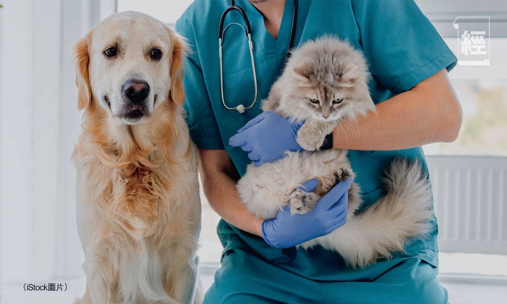 寵物醫療通脹隨時加劇     精明揀寵物保險