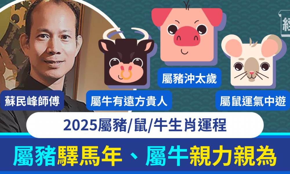 屬豬/鼠/牛生肖運程蛇年2025 蘇民峰：屬豬變化多、屬牛要親力親為