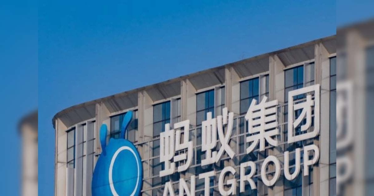 螞蟻國際 申港