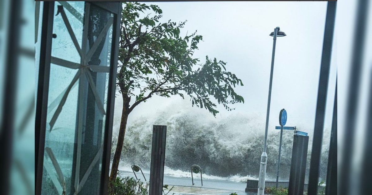 【風王襲港】樺加沙威力驚人 市民：從未如此不想放風假