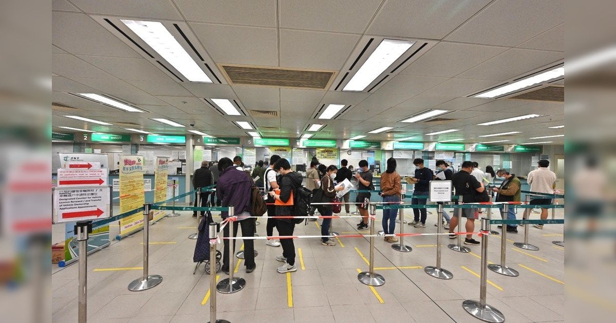 【一文教學】電子駕駛執照App今起推出 手機展示即可作實體駕照替代品