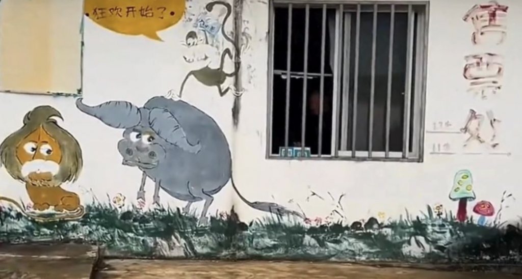 貴州 動物園 (圖片來源:網上圖片)