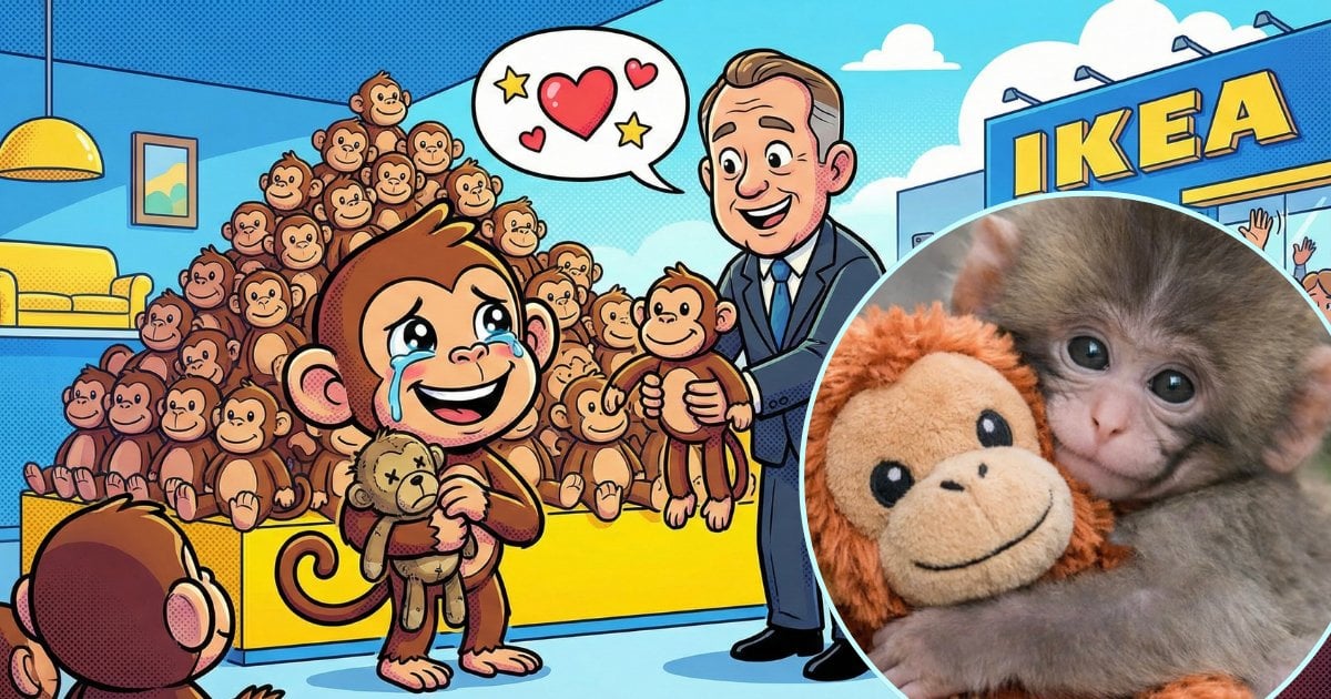 【企業高管必讀】棄猴Panchi攬公仔爆紅惹全網爆喊！IKEA社長親送33隻毛絨做大禮 拆解一場「零成本」的教科書級情感營銷